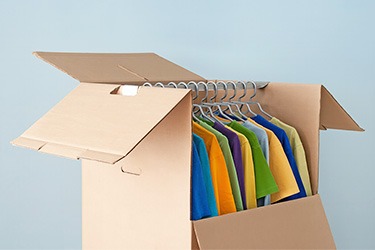 Wardrobe packing box with clothing