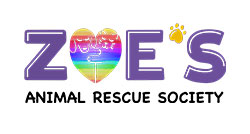 https://www.bigsteelbox.com/content/uploads/2019/10/Zoes-animal-rescue-edmonton-logo-250.jpg