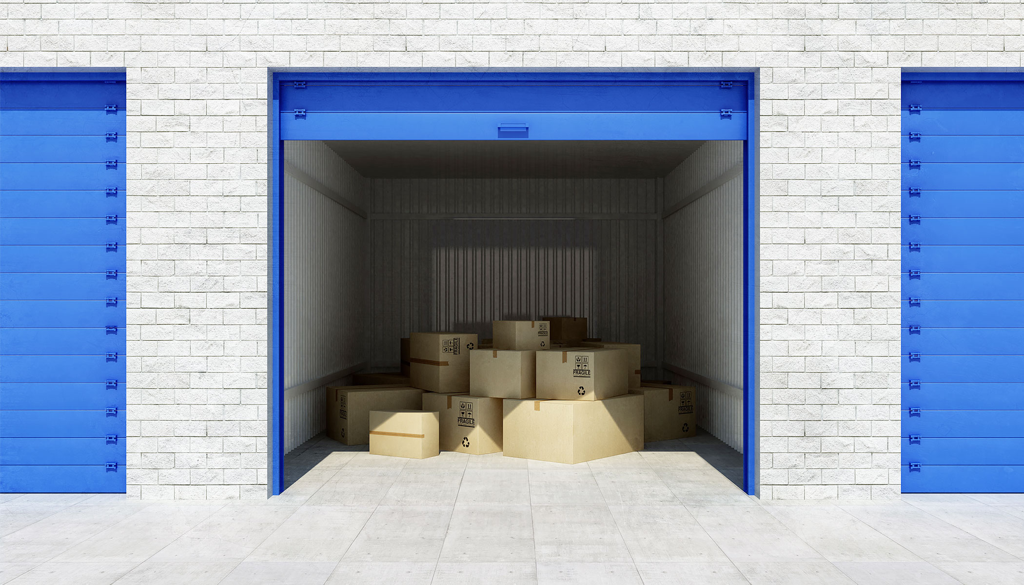 Tips to Avoid Mice in Storage Units