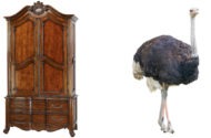 What weighs more: Wooden Armoire or Adult Ostrich?