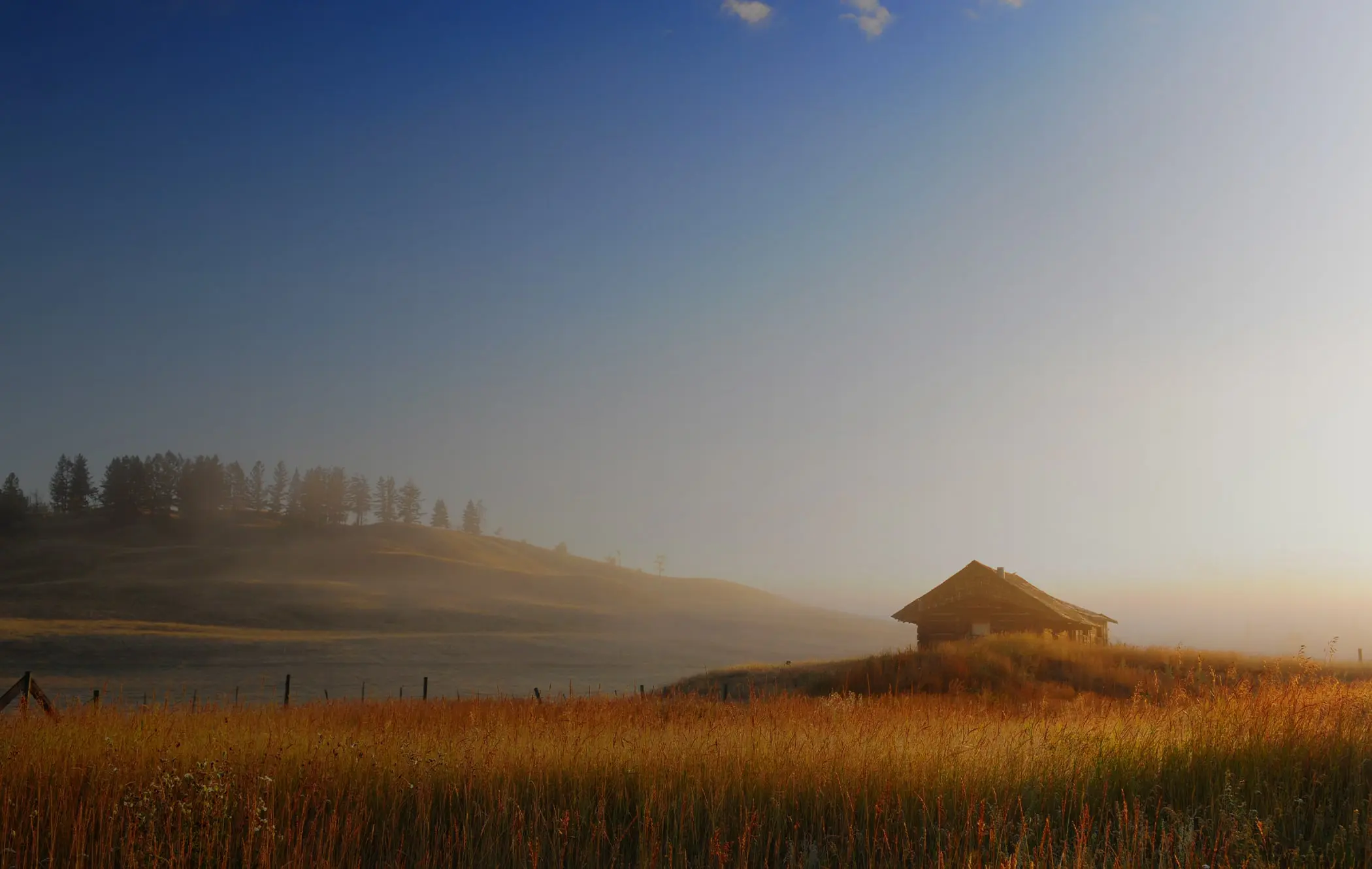 Field in 100 Mile House, BC