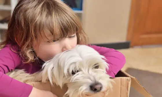Little girl with dog in a moving box preparing for a move