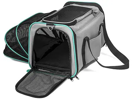 Example of an approved airline pet carrier