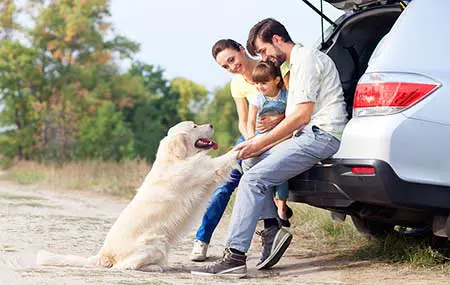 Family with dog while moving by car